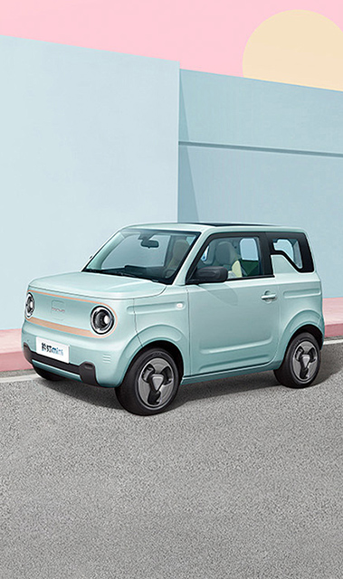 Hot-Categoriesx-EV-mini